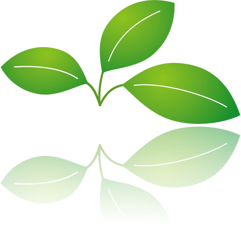 LeafLOGO